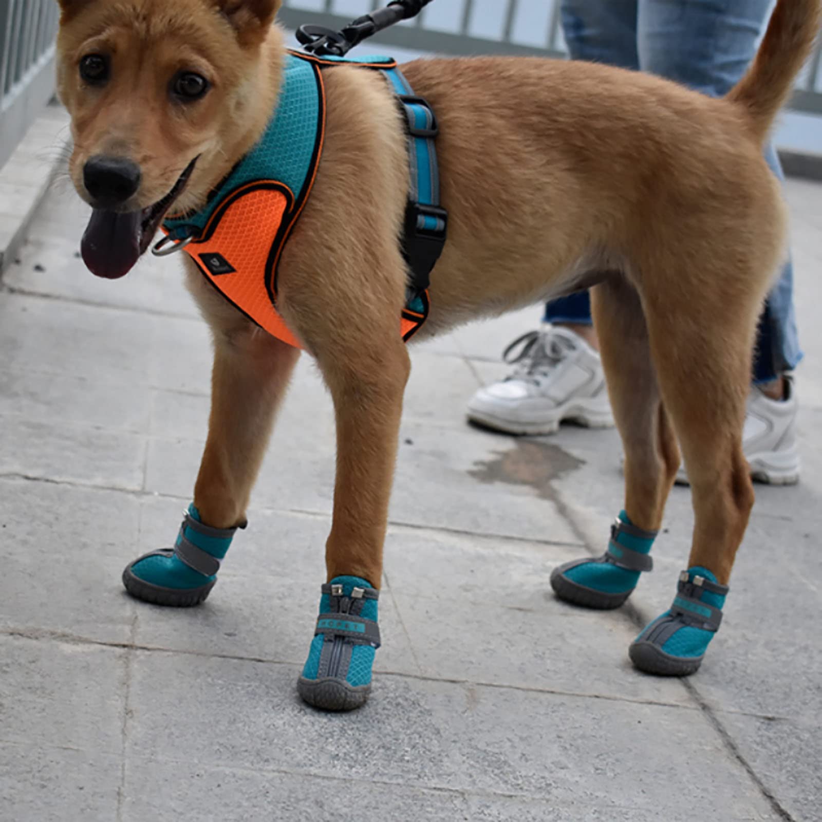 Chaussures pour Chiens de Compagnie Bottes à Semelles en PVC Portables de Montagne avec Semelles en Caoutchouc Antidérapantes Sangles Réfléchissantes pour Marcher et Courir,Green,1(3.5cm3kg)