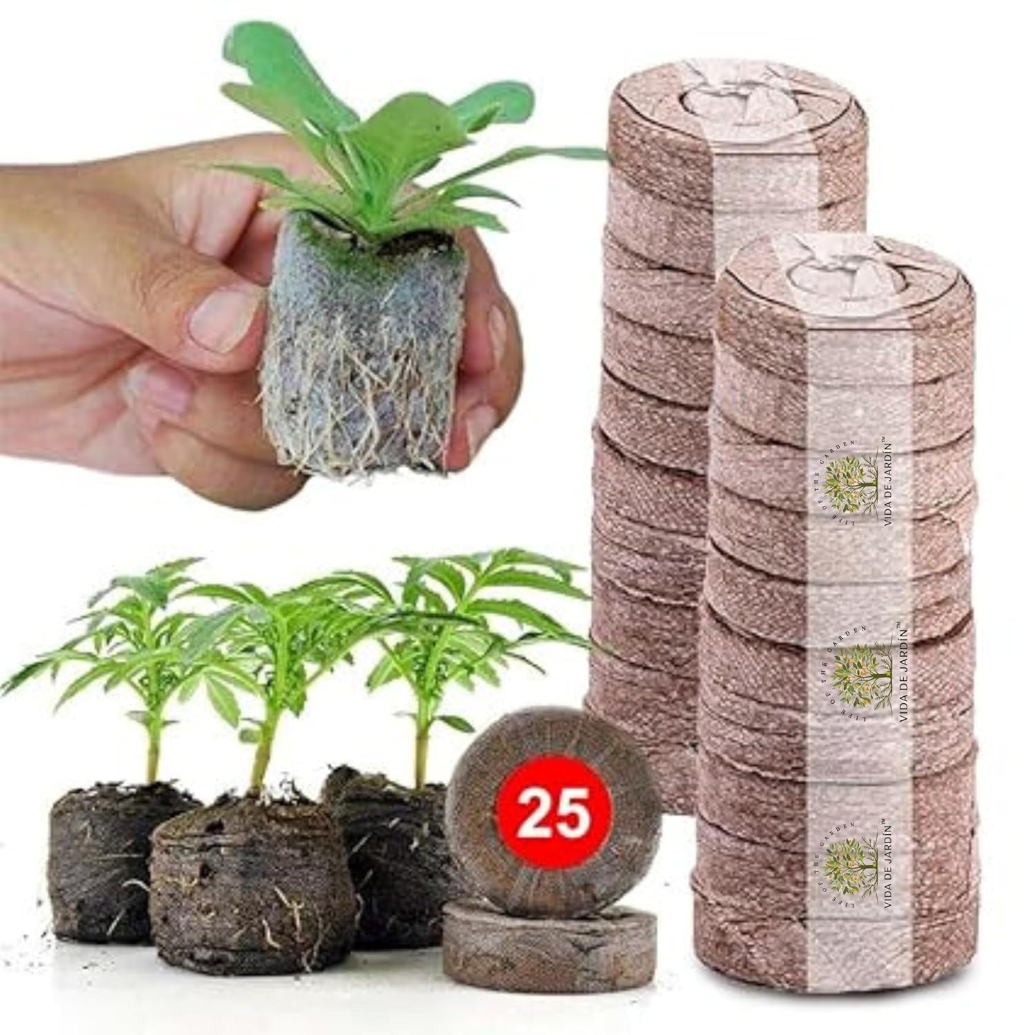 Coco Coir Seed Starter Kit | Biodegradable Germination Trays | Sustainable Gardening Seedling Cells for Indoor Plants, Flowers | 4x4x1.5 cm (25)-image-12