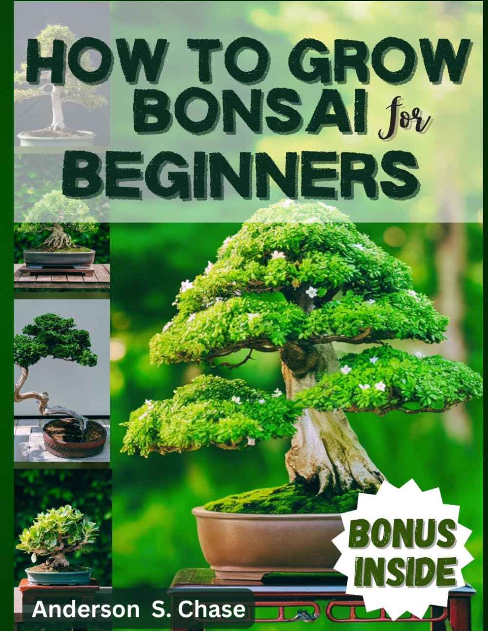 How To Grow Bonsai For Beginners: Comprehensive guide on how to grow, Select and Care for bonsai tree easily