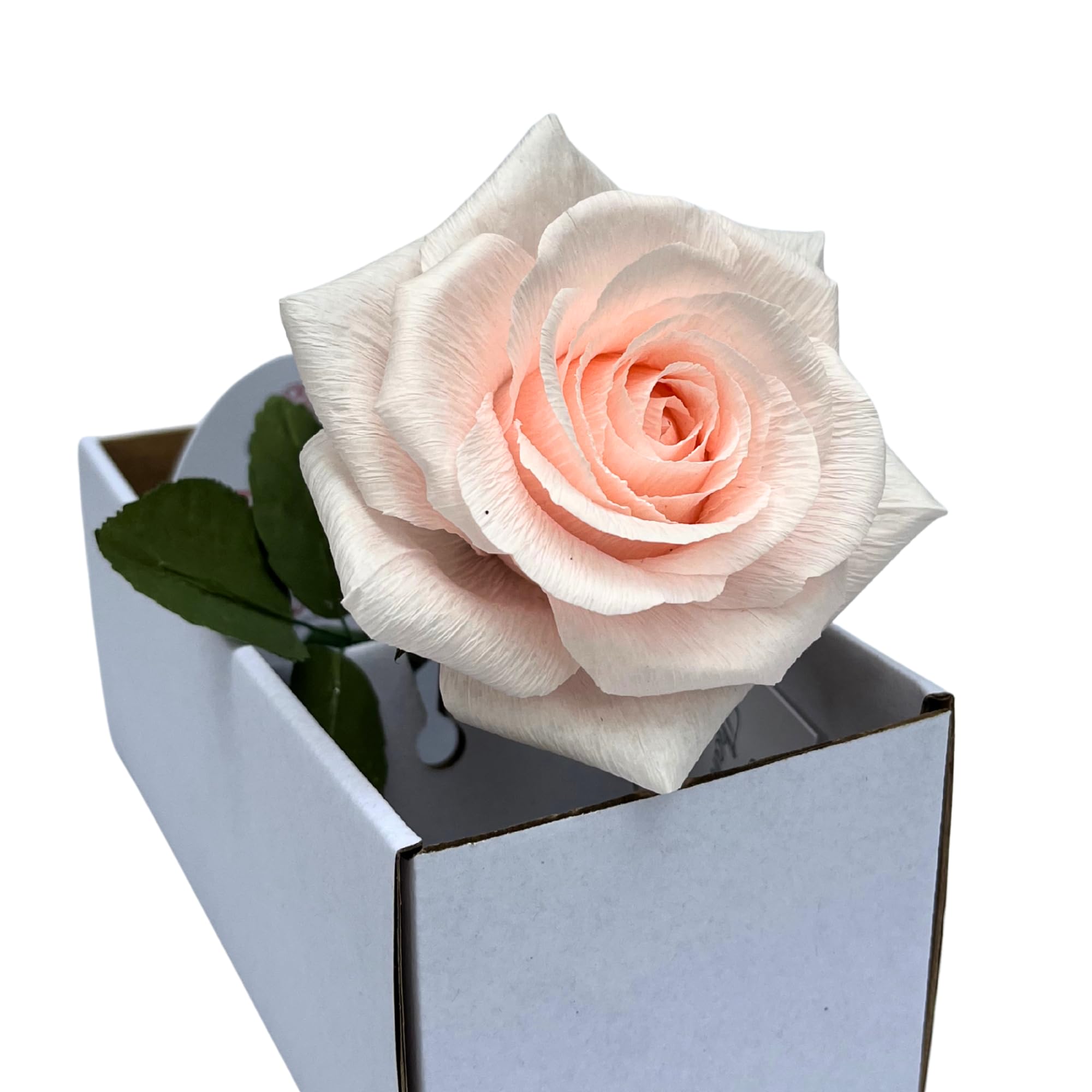 Camellia Bees Paper Rose