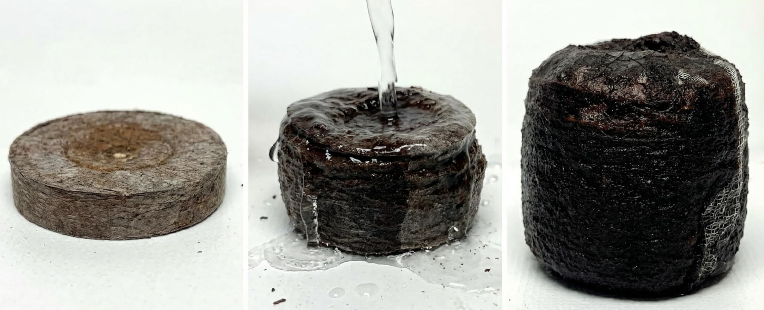 J PLUS T 42mm Peat Pellets - Authentic Jiffy-7 Source Seed Starter Plugs - Compressed Canadian Sphagnum Peat Moss Soil for Germination - Larger Size for Vegetables, Flowers & Herbs (50 Count) - 5