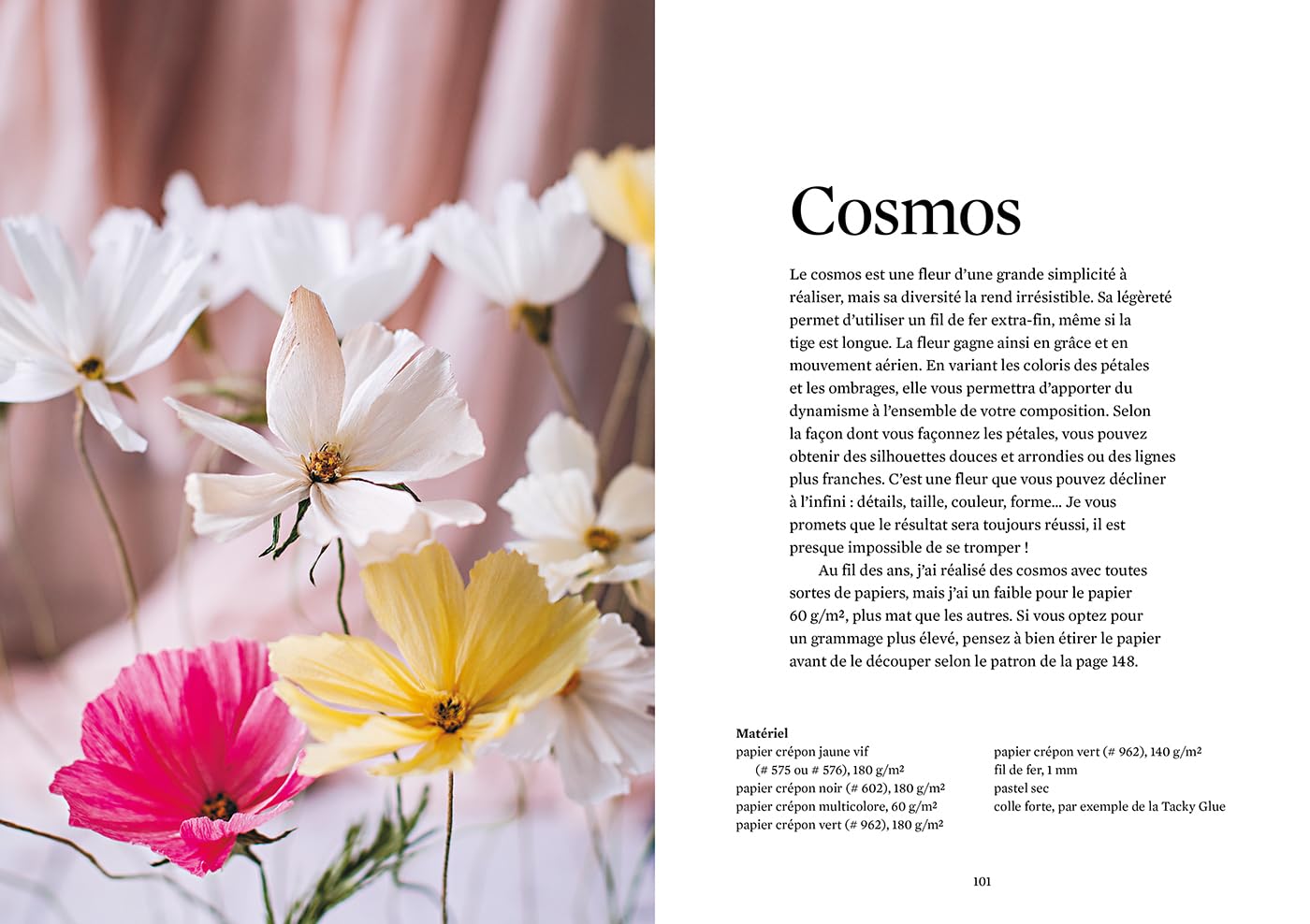 Fleurs en papier