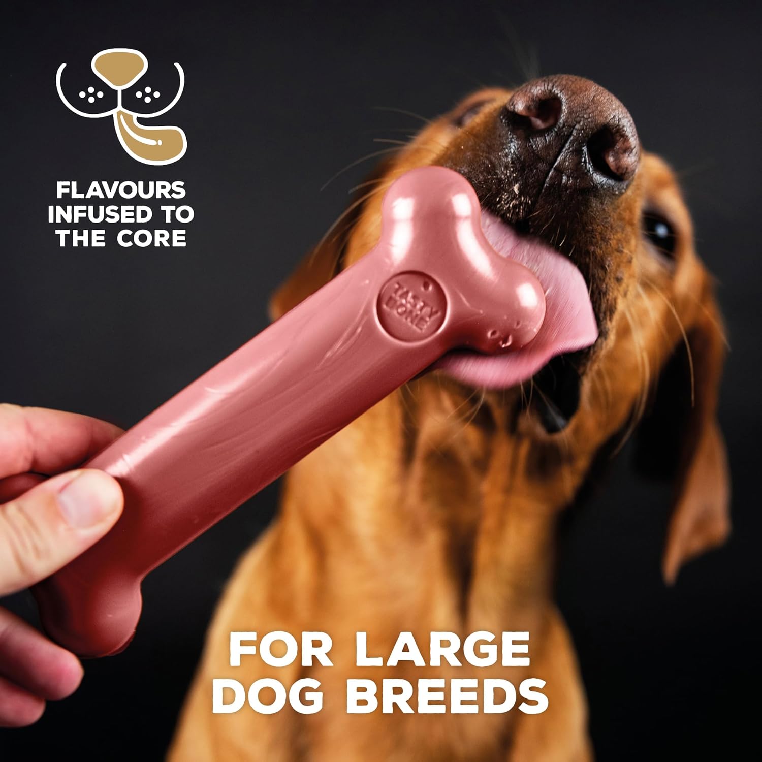 Tasty Bone Chew Toy - Bacon - Large