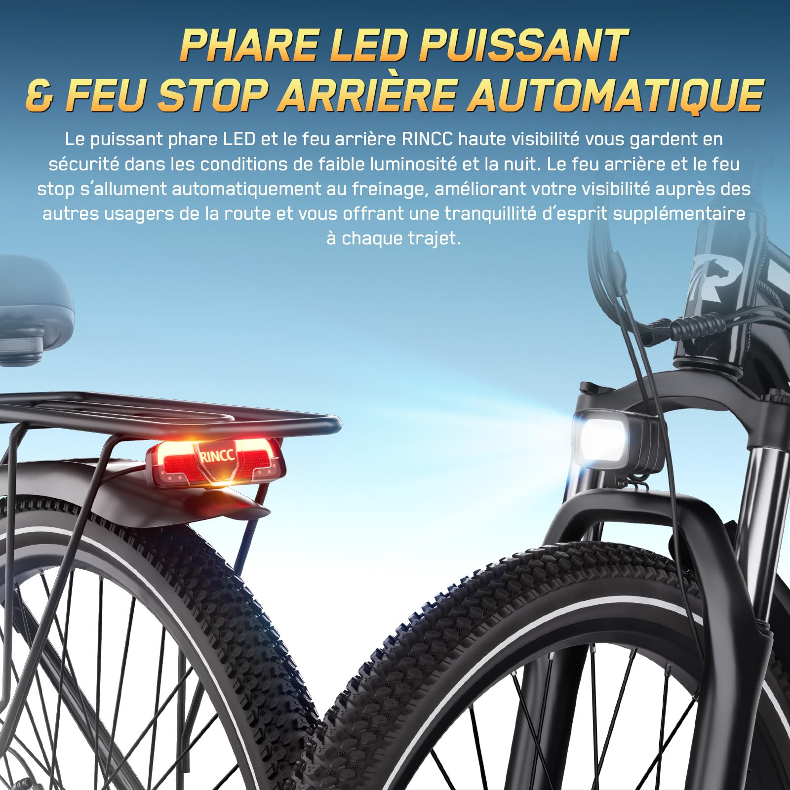 RINCC Velo Electrique Homme RN50-29,Vélo électrique Adulte 48V 15Ah Batterie avec 21 Vitesses avec Écran LCD,Autonomie jusqu'à 100 km,Moteur 250 W, Cadre en Alliage d'aluminium,Ville E-Bike