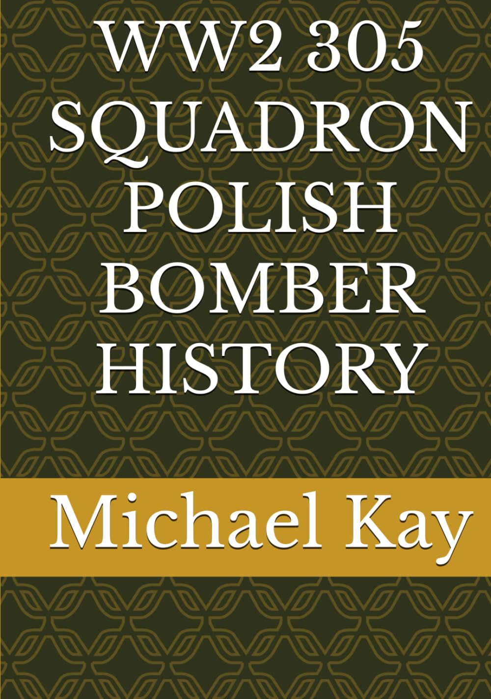 WW2 305 SQUADRON POLISH BOMBER HISTORY