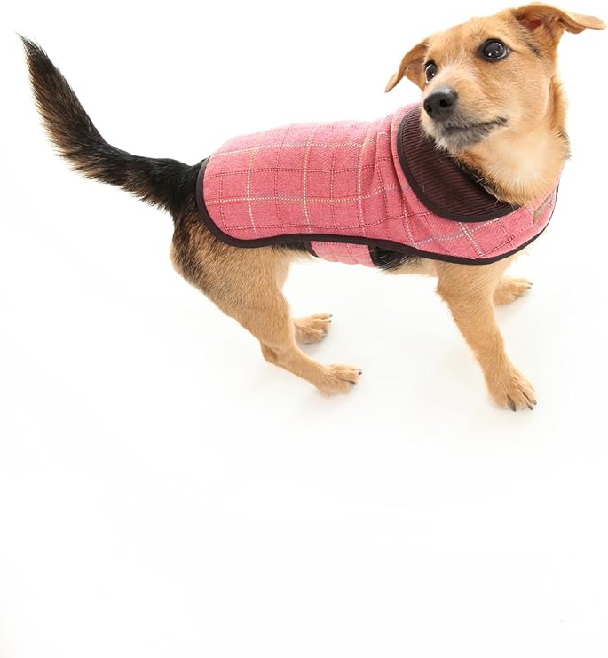 doodlebone dog coat