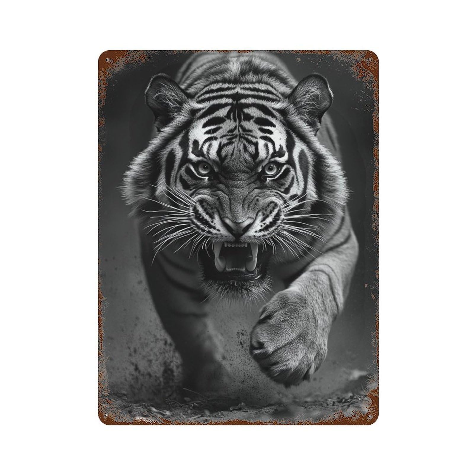 Amazon Tiger Roar Weathered Tin Sign 15.7"x11.8", Rustic Home Decor for Garage, Pub Or Kitchen