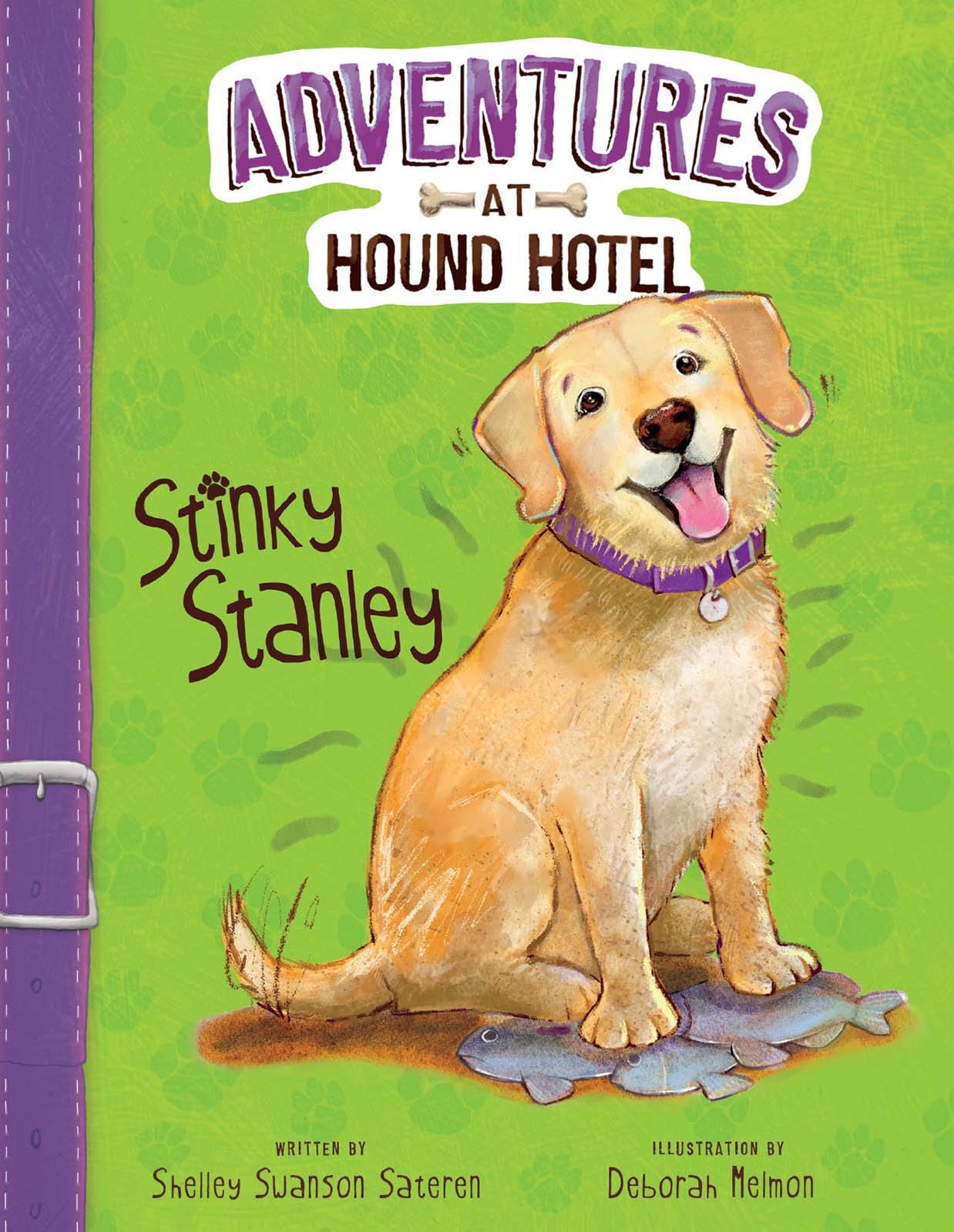 Picture Window Books Stinky Stanley