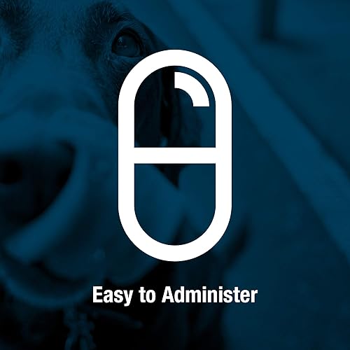 Miniatura 4 de VetOne O3 Omega Gel suave para perros grandes - Soporte de ácidos grasos esenciales - Suplemento para piel y pelaje - 250 cápsulas