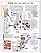 DK Science Encyclopedia (Revised Edition)