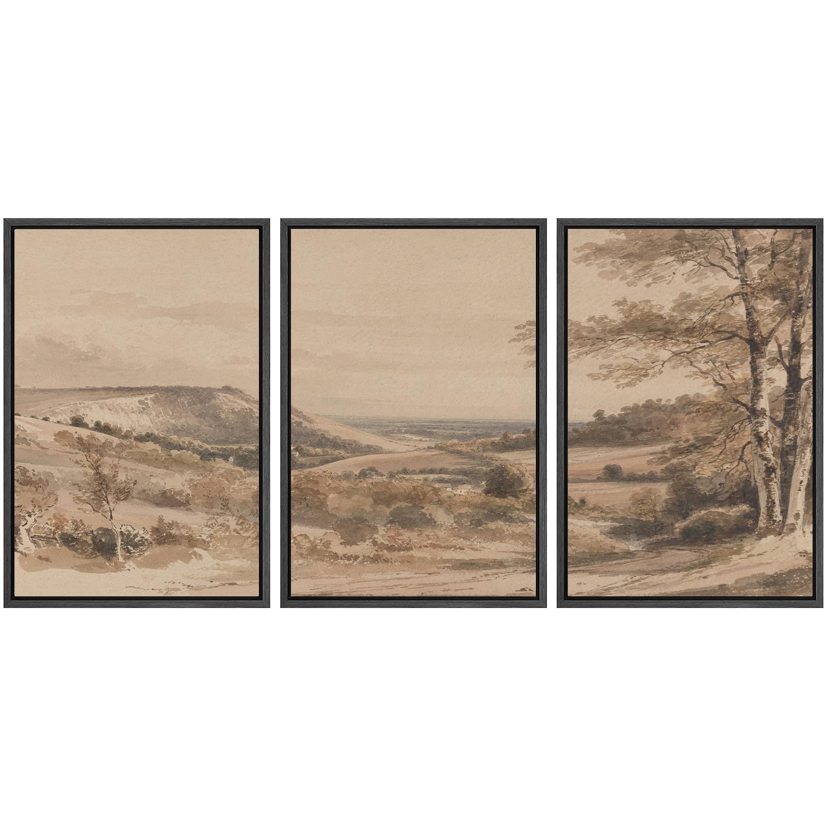 SIGNWIN Framed Canvas Print Wall Art Set Coastal Serenity Abstract Seaside Illustrations Modern Art Decorative Rustic Calm/Zen for Living Room, Bedroom, Office - 24"x36"x3 Natural — view 100