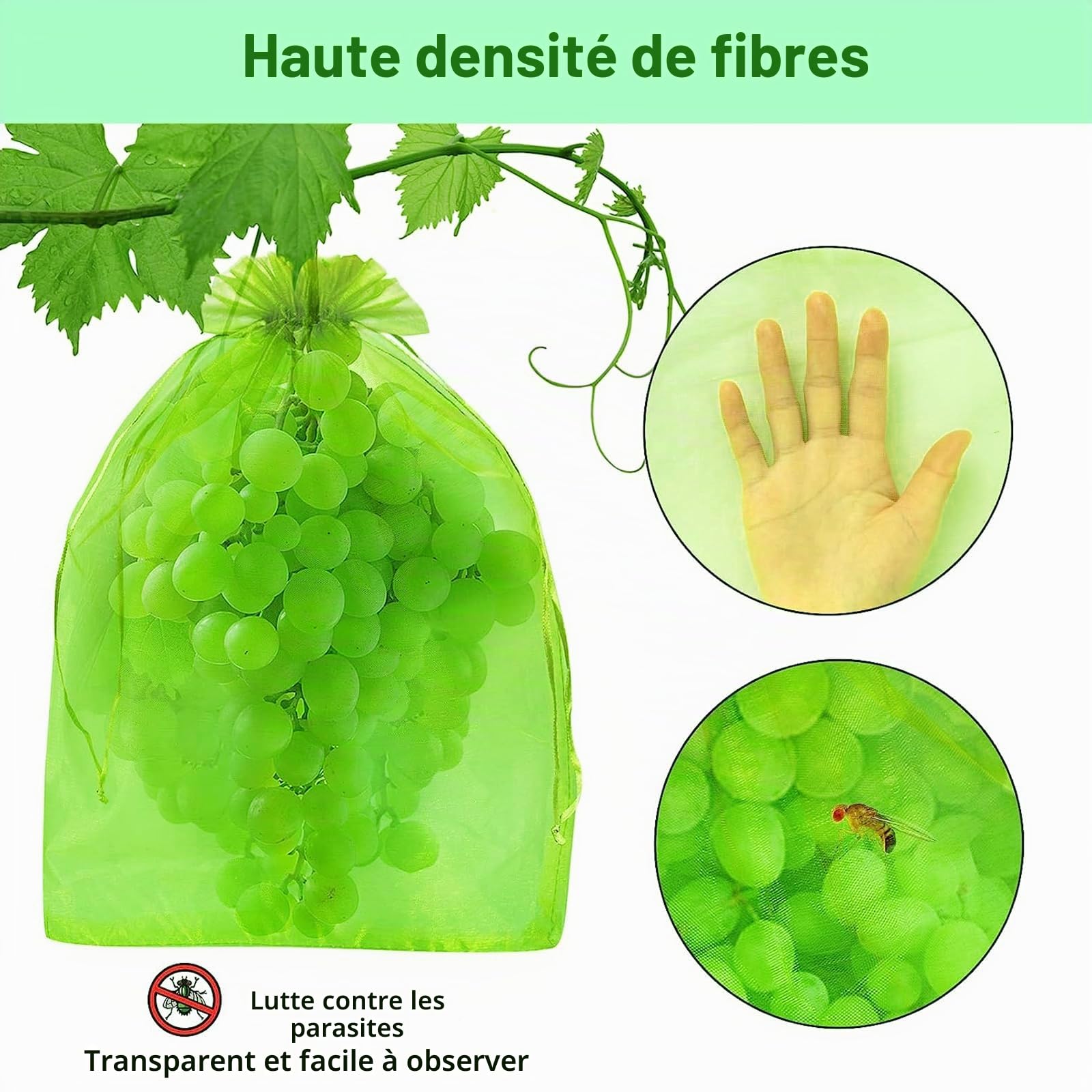 60 Pièces Sac Protection Raisin, Sacs Filets Protection Vert Sac Organza avec Cordon, Sacs Filets Protection des Grappes de Raisins Contre Guêpe Drosophile Scarabées Oiseaux, 20 * 30cm