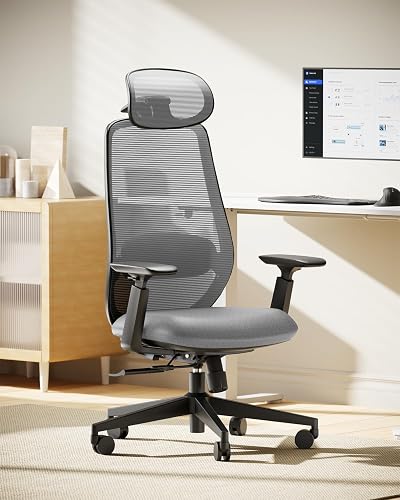 ProtoArc EC200 Office Chair