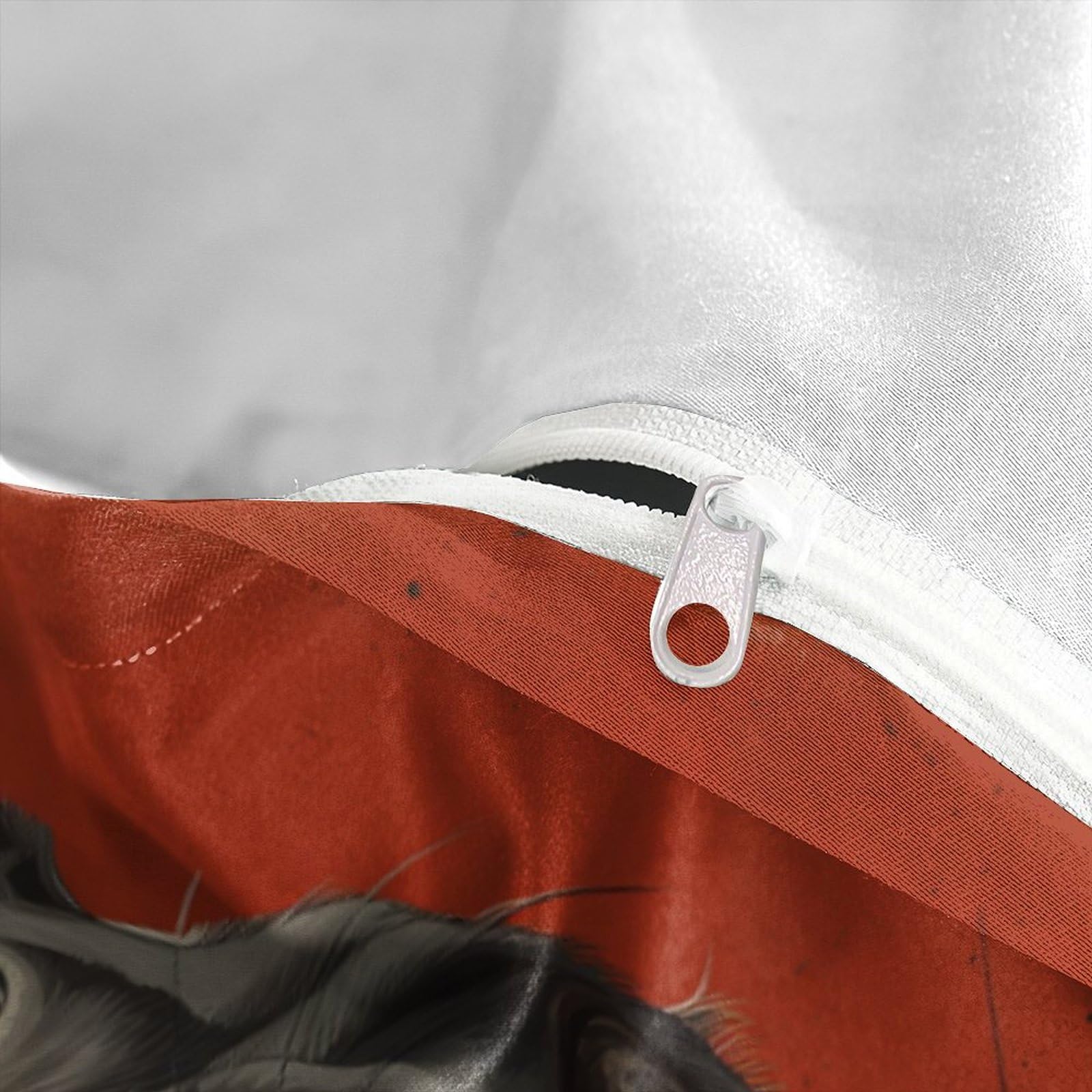 Stampato in 3D BullLuna francese Copertina Stampata Microfibra Disegnata Biancheria Da Letto Ipoallergenico Set 3 Pezzi,Double（200x200cm）, Per Ragazzi Adulti