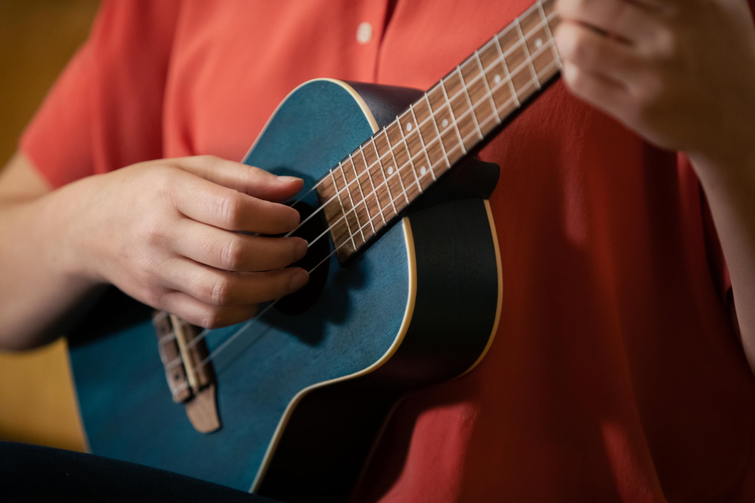 Ortega Guitars Ukulélé Concert Acoustique – Série Earth – Okoumé, Bleu Foncé (RUOCEAN)