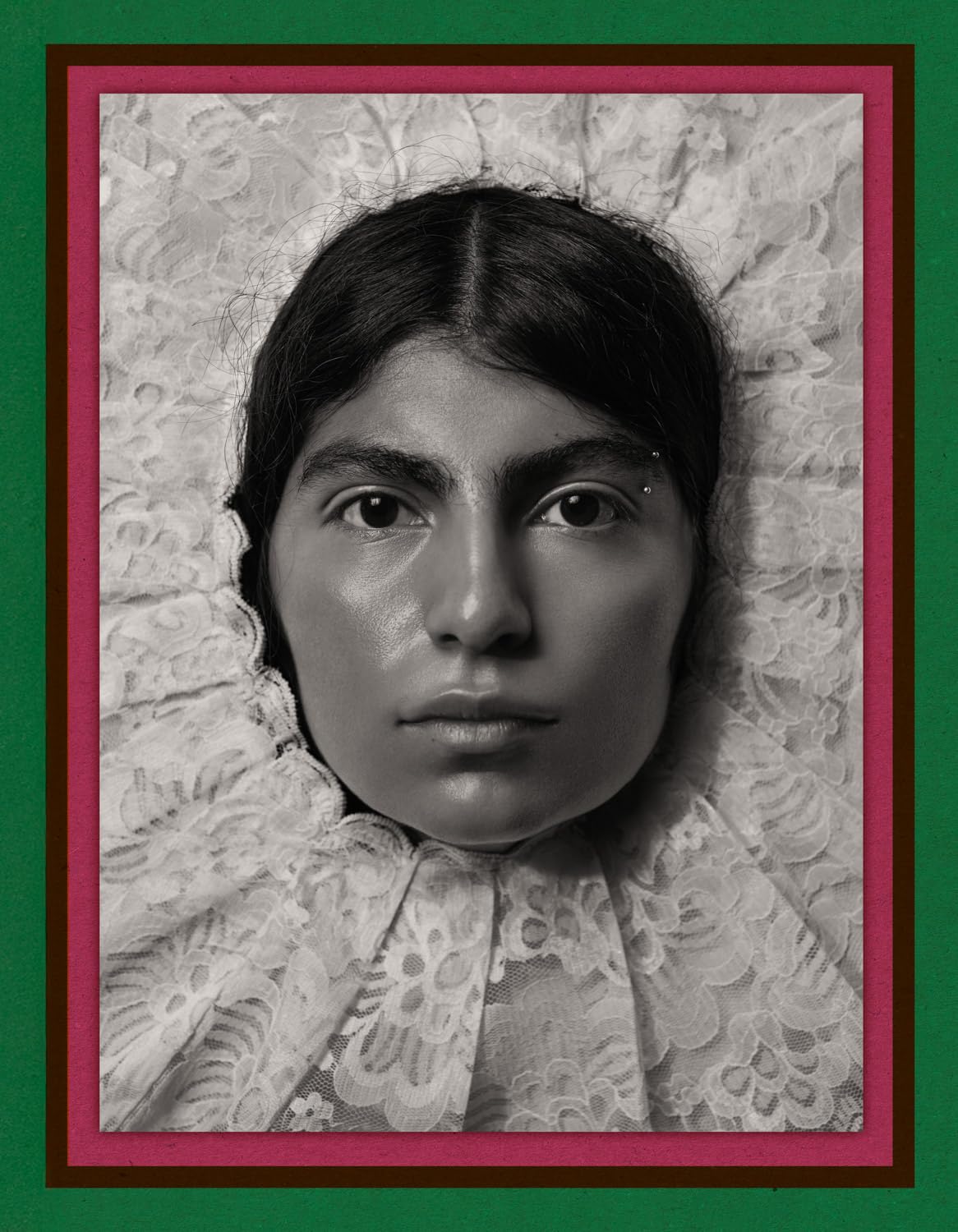 Pieter Henket: Birds of Mexico City