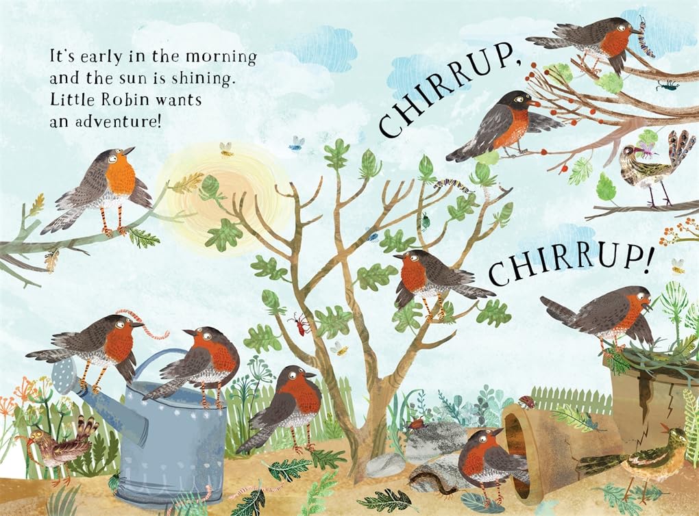 Little Robin's Book of Birds: 16