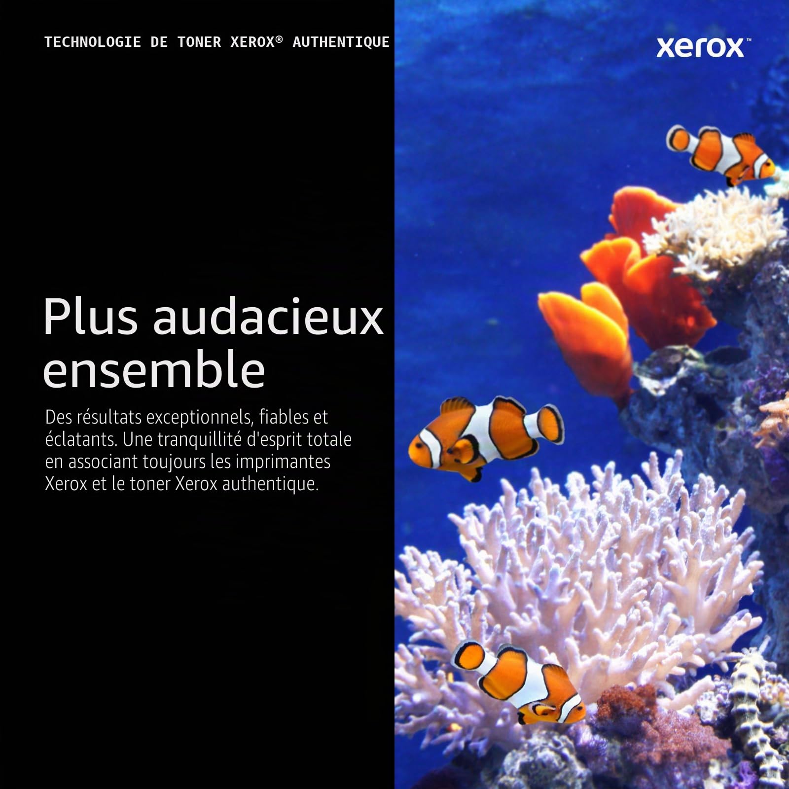 Xerox Cartouche de Toner d'Origine C320 / C325 Noir Capacité Standard (2,200 pages) - 006R04823