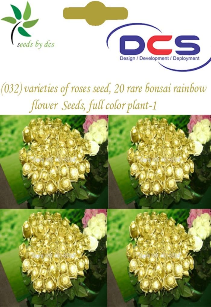 DCS (032)Gold Color Varieties Of Roses Ixed Seed,20 Rare
