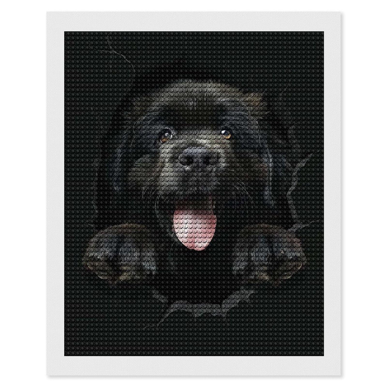 Junmoney Newfoundland Diamond Painting Canvas Set 16"x20", Easy to Enjoy, Adhesive Canvas, Office Decor, Holiday Gift Idea, with Tool Kit