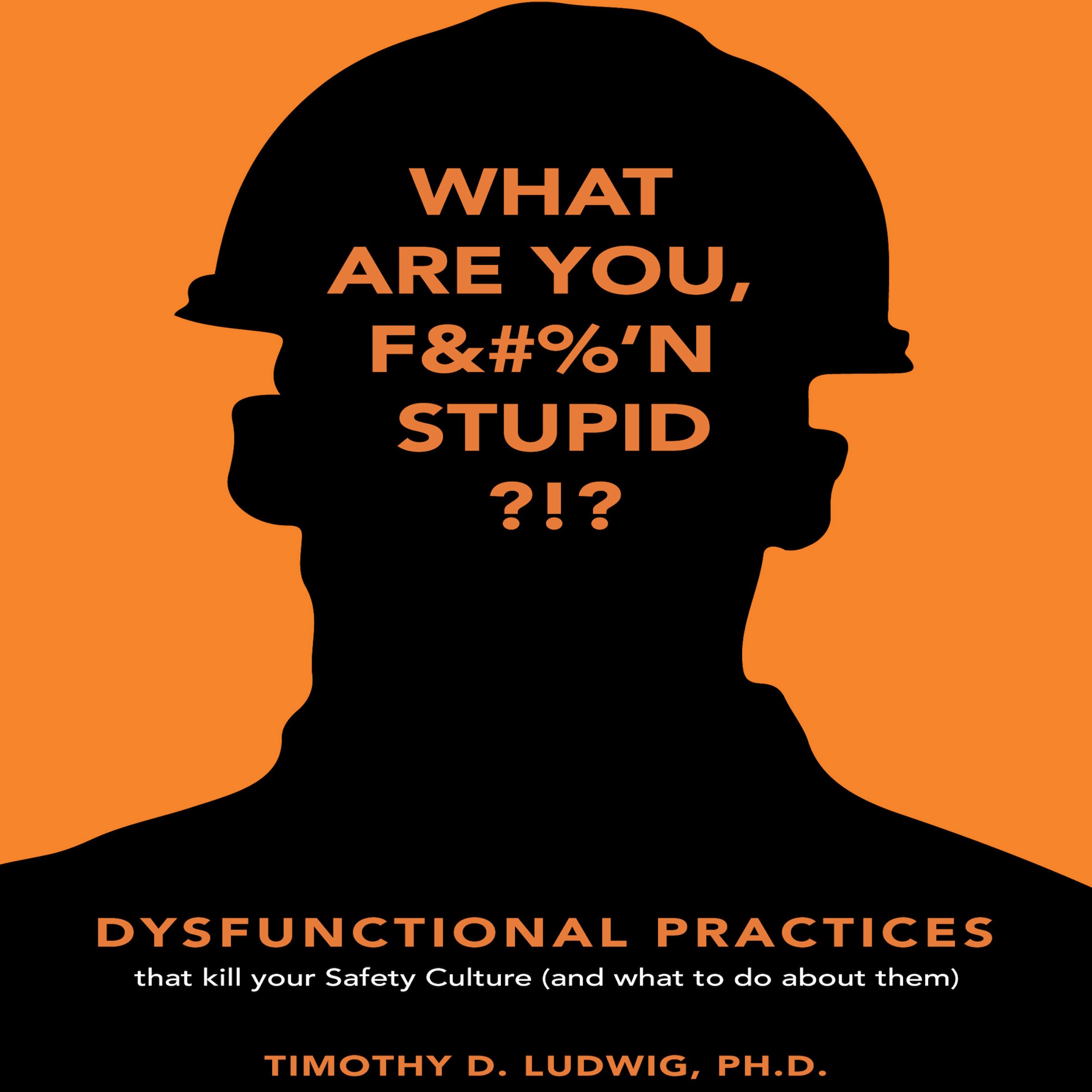 Cover art for Dysfunctional Practices