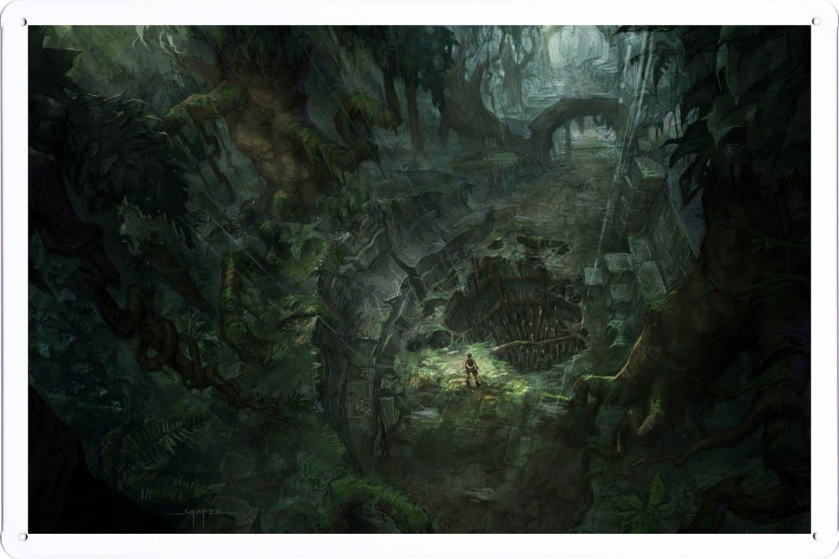 Tin Sign Metal Plate Poster of Tomb Raider Underworld 16 20*30cm by PBN