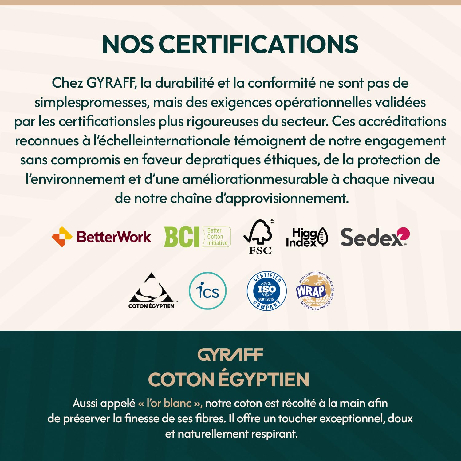 Chaussettes de sport basses en coton égyptien premium, rembourrées, Lot de 4, Socquettes running anti dérapantes, languette anti ampoule anti transpiration, Homme Femme, Blanche, 35-38 39-42 43-46
