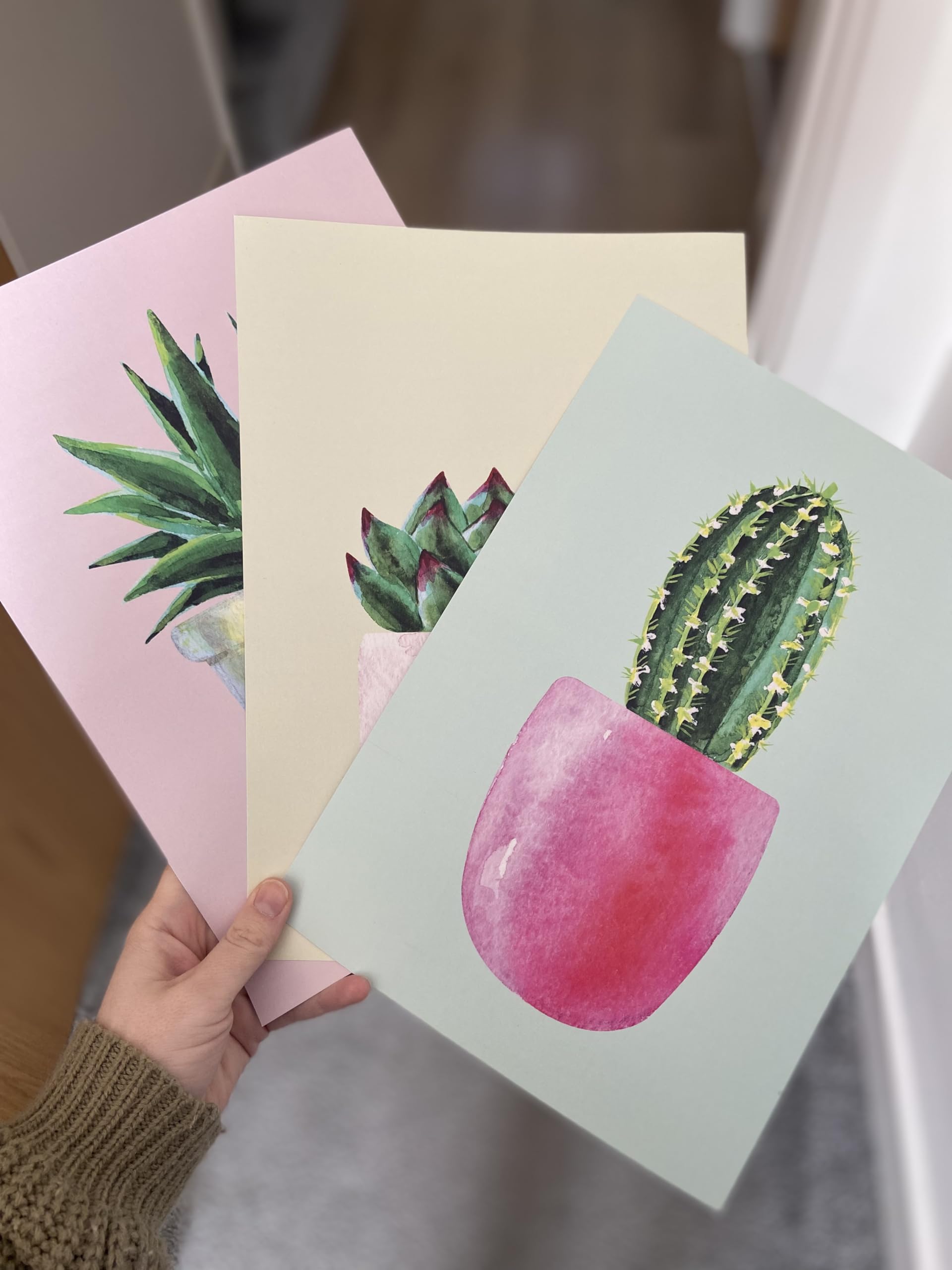 Eviepops Prints Colourful Cactus Pot Plants Set of 3 Unframed Wall Art Prints, Succulent Plant Decor - Image 2