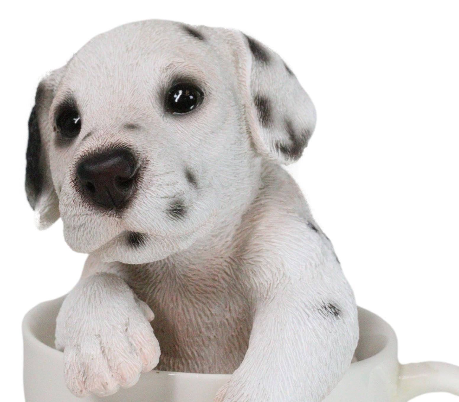 Amazon.com: Ebros Realistic Adorable Spotted Dalmatian Puppy Dog
