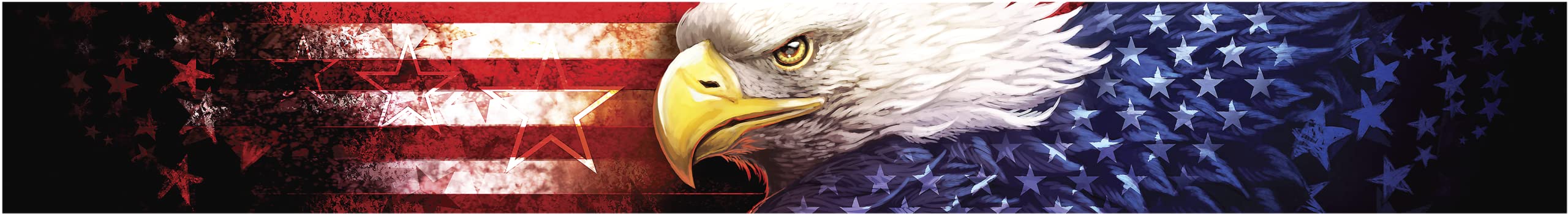 CHROMAGraphics Chroma 49502 Decal