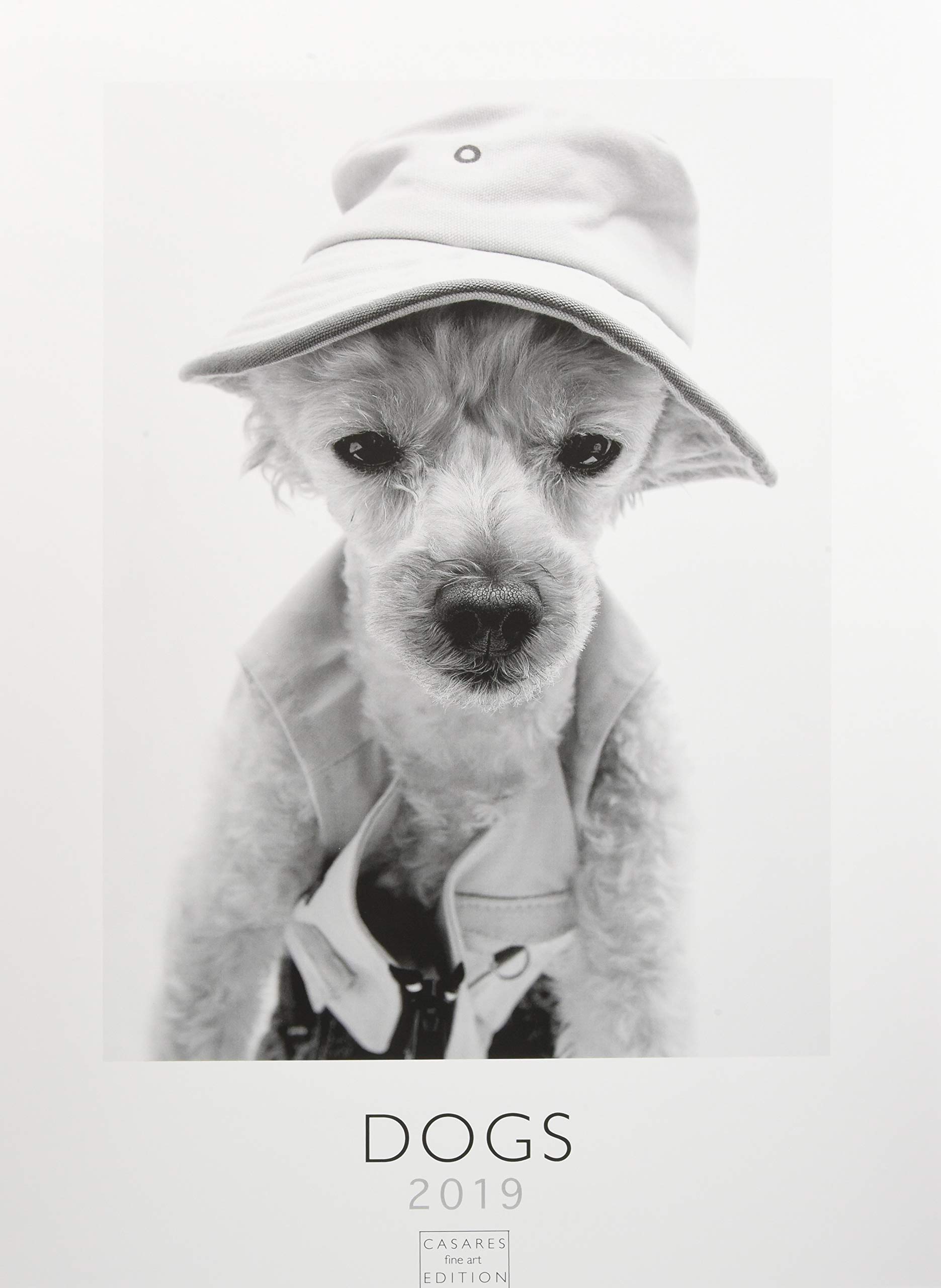 Dogs 2019 - Format L