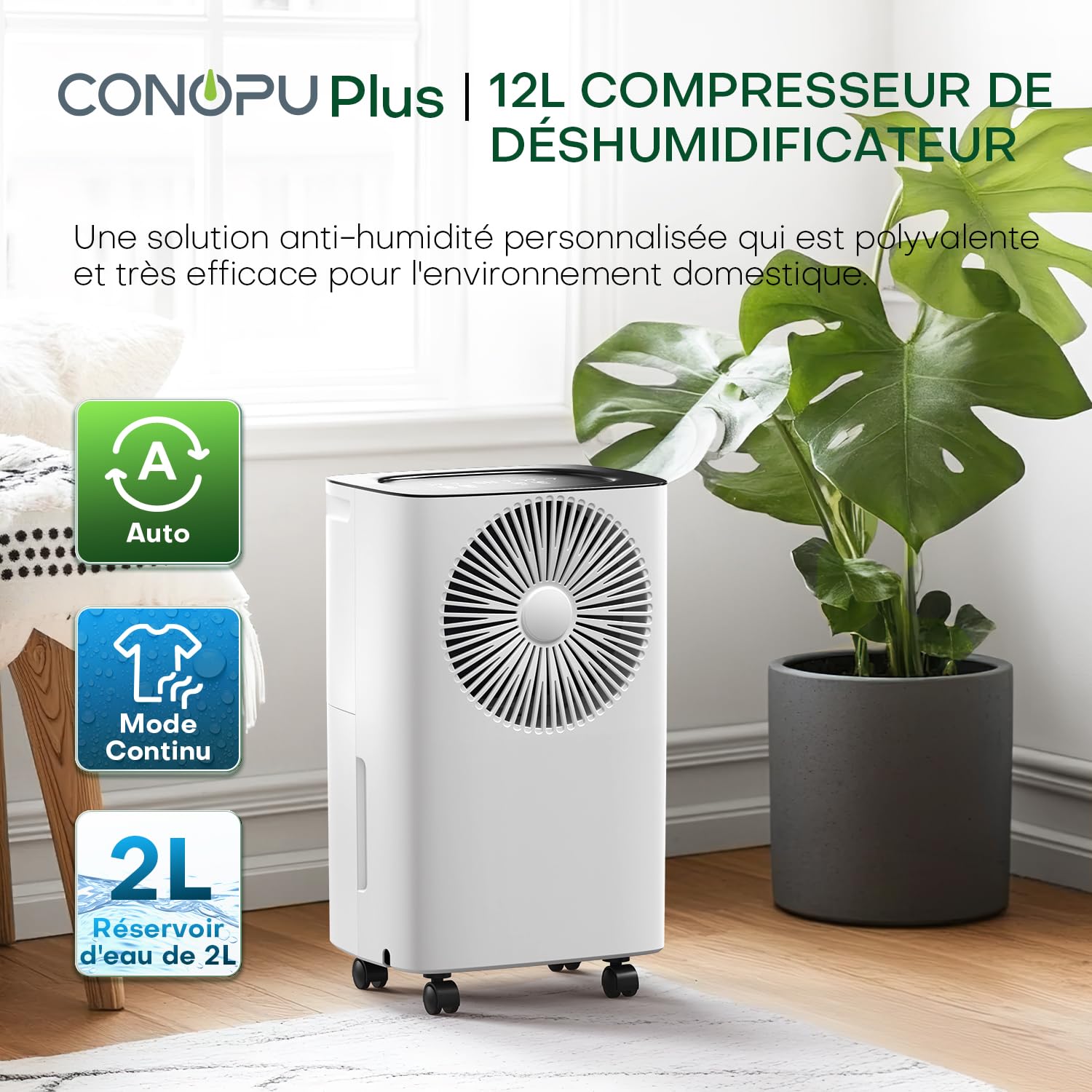 Deshumidificateur d air Electrique 12 litres/jour, Drainage Continu, Déshumidification Automatique, Mode Sommeil, Minuterie 24H, Anti Mosissure，Apportant de la Chaleur aux Jours de Pluie