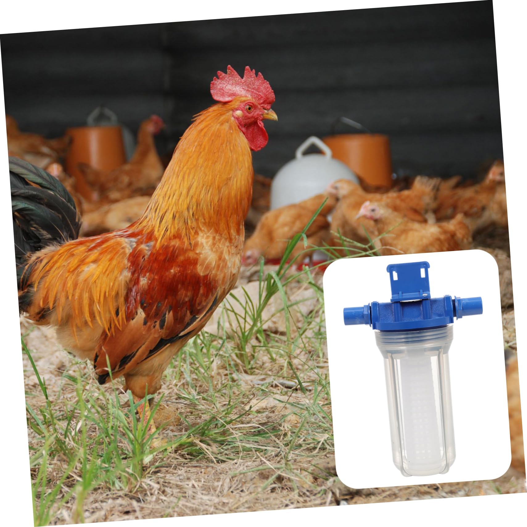 Filtro de Agua para Beber, de Repuesto para Dispensador, Plástico Azul, Mantiene el Agua Fresca para Gallinas y Aves, Uso Agrícola y Hogar
