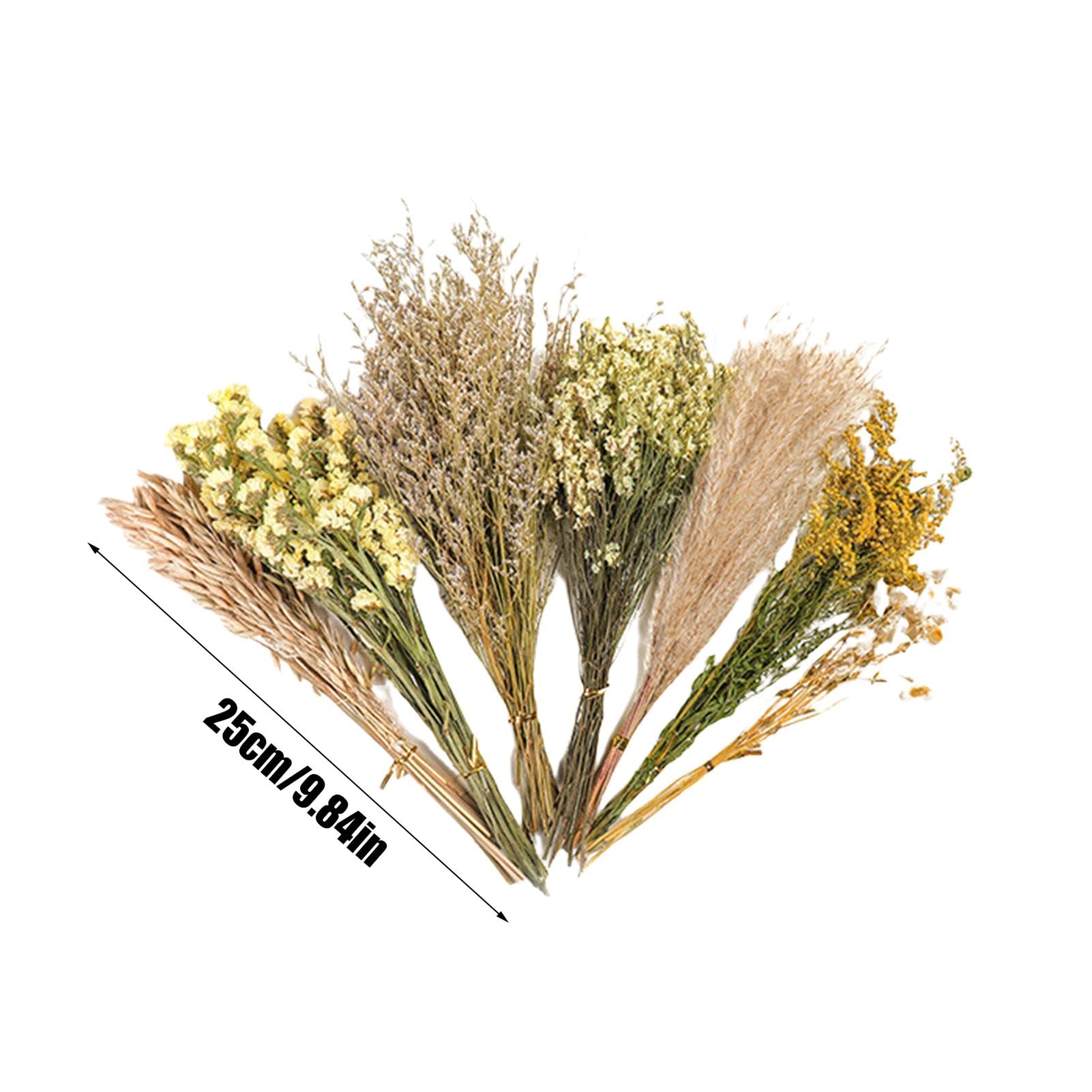 View 5
