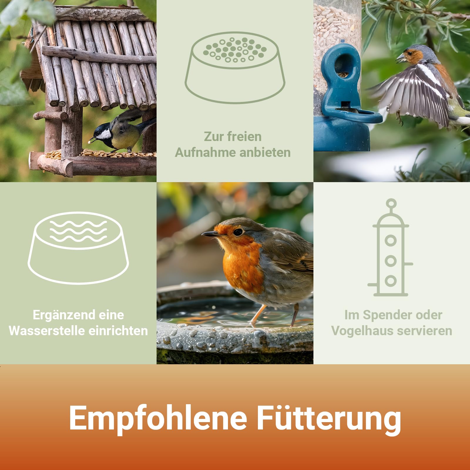 PANTO Sonnenblumenkerne geschält 25 kg – Wildvogelfutter ganzjährig | Reine, schalenlose Kerne ohne Schalenreste – energiereich für Körner- & Weichfresser an Futterplatz & Vogelhäuschen