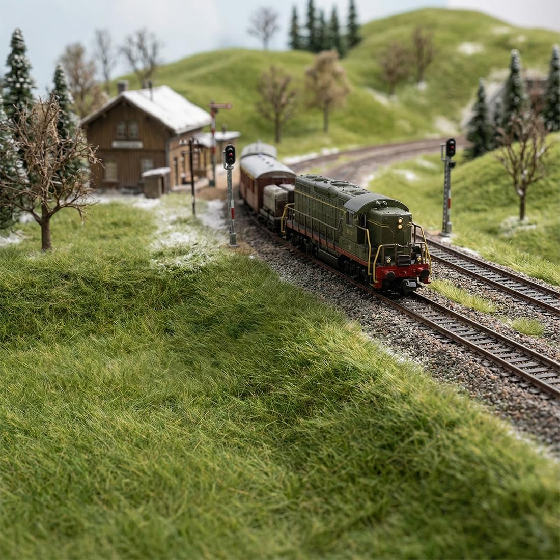 30 g/Busta Erba Statica in Polvere Muschio Piante Artificiali, Erba Sciolta per Prati, Modellismo Ferroviario, Diorami e Paesaggi (verde invernale)