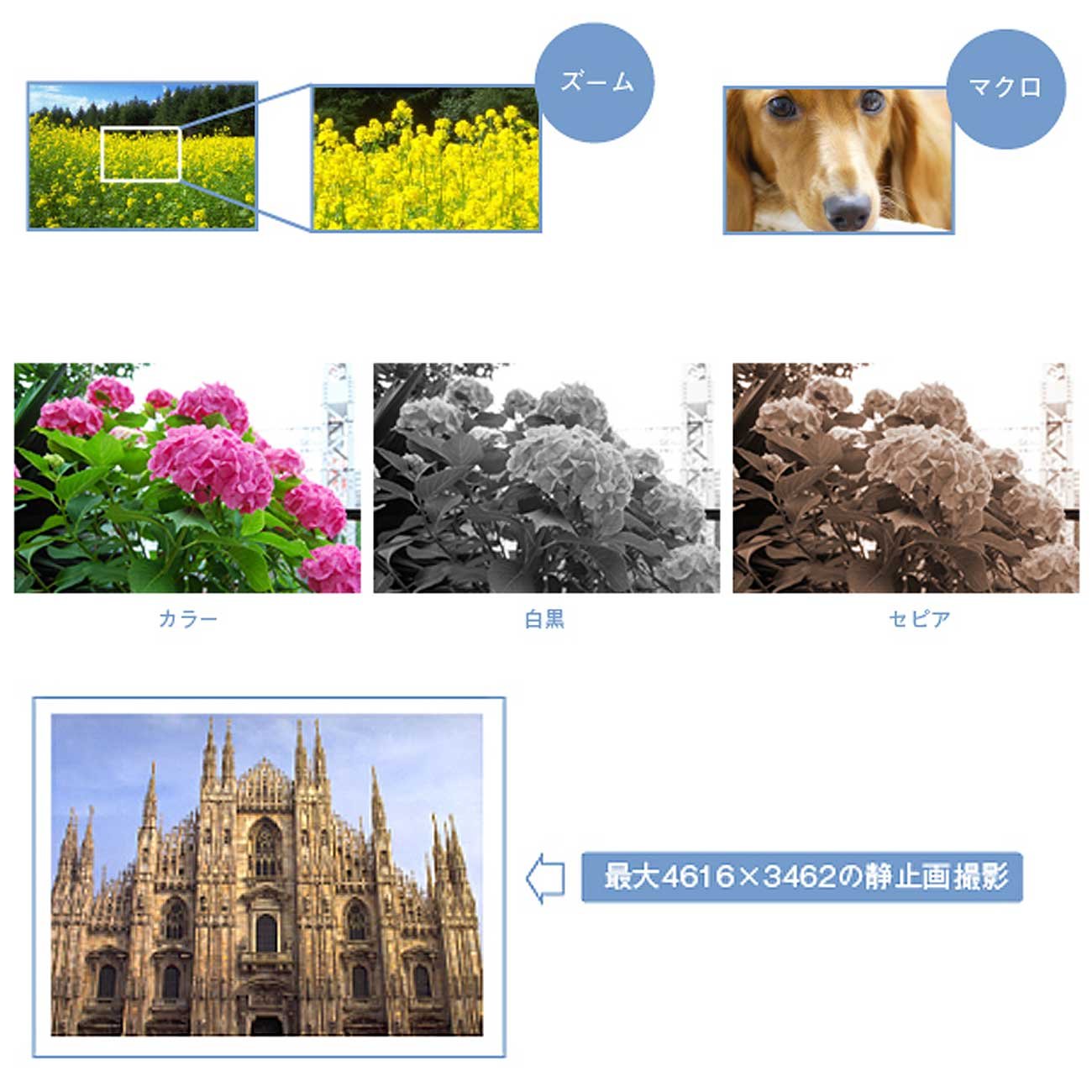 ほぼ未使用品　GREEN HOUSE GHV-DV25HDAK B Amazon | GREEN HOUSE 乾電池駆動HDデジタルビデオカメラ ブラック