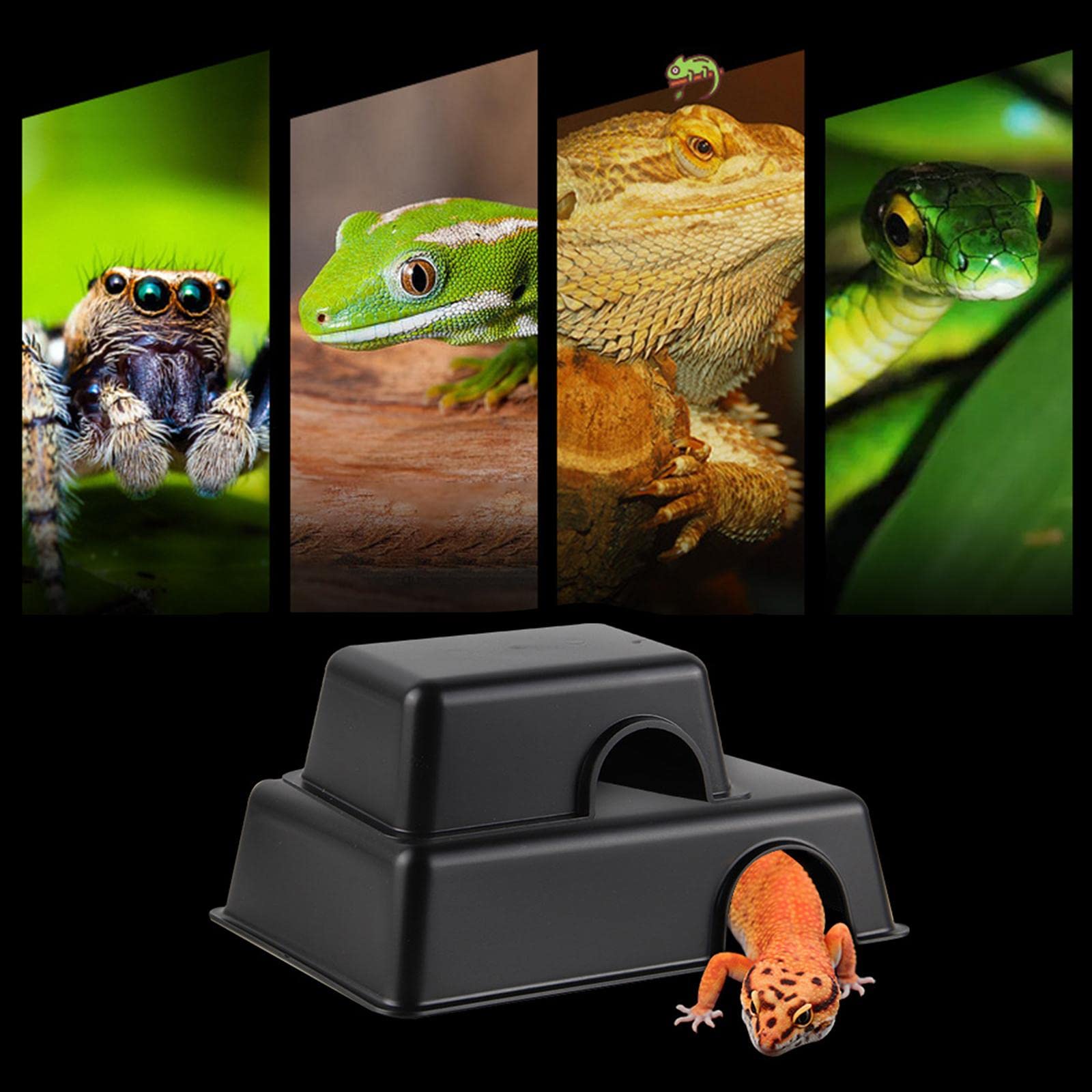 Enakshi Reptile Hideout Box Small Animal Hideaway for Spiders, Rodents, Lizards S |Pet Supplies | Reptile Supplies-image-15