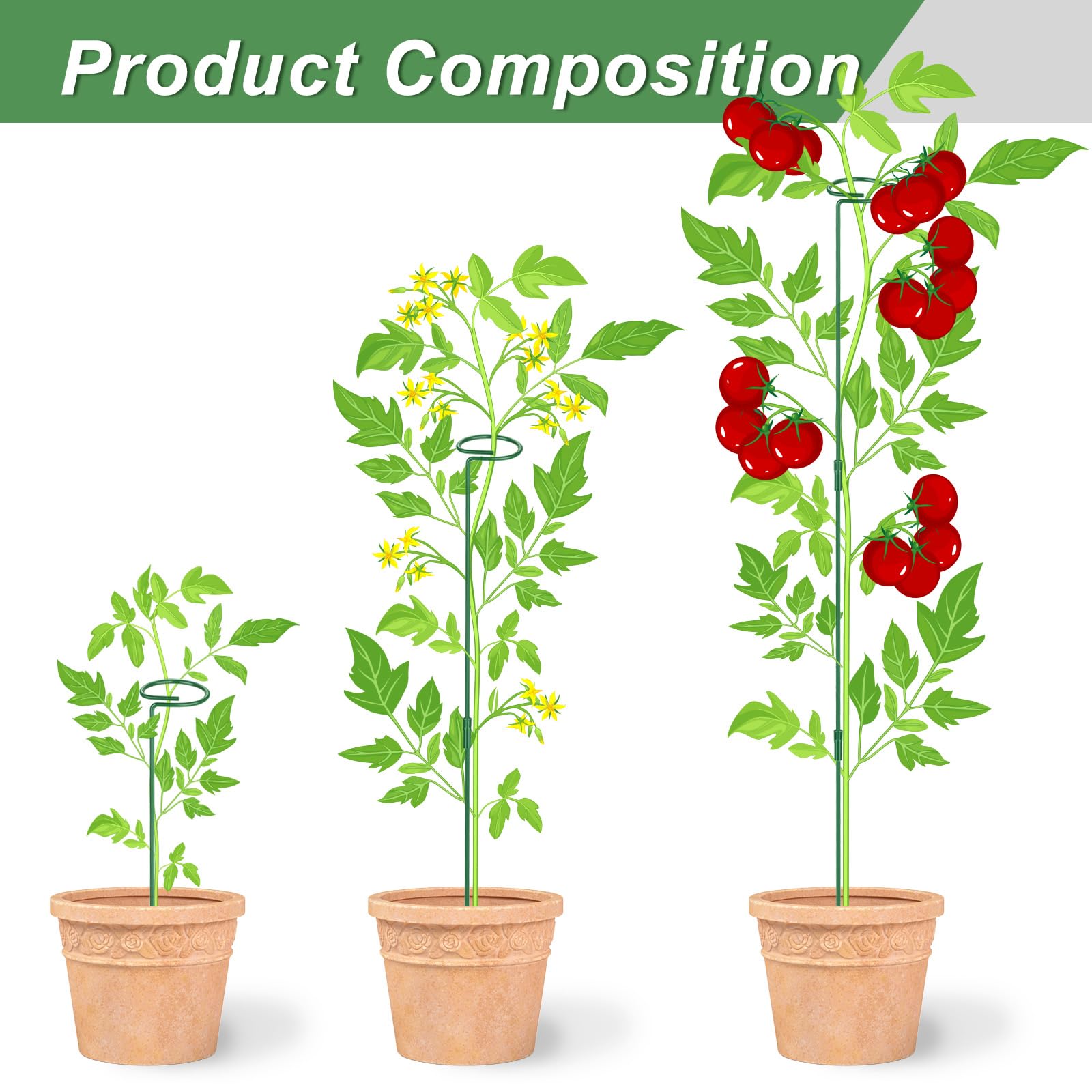Amazon.com : 6 Pack (DIY) Plant Support Stakes, Three Sizes (12 or 24 or 36  inch) Plant Support Rings for Outdoor or Indoor, Garden Plant Stakes for  Flowers Vegetable Roses Daffodils Tomatoes :