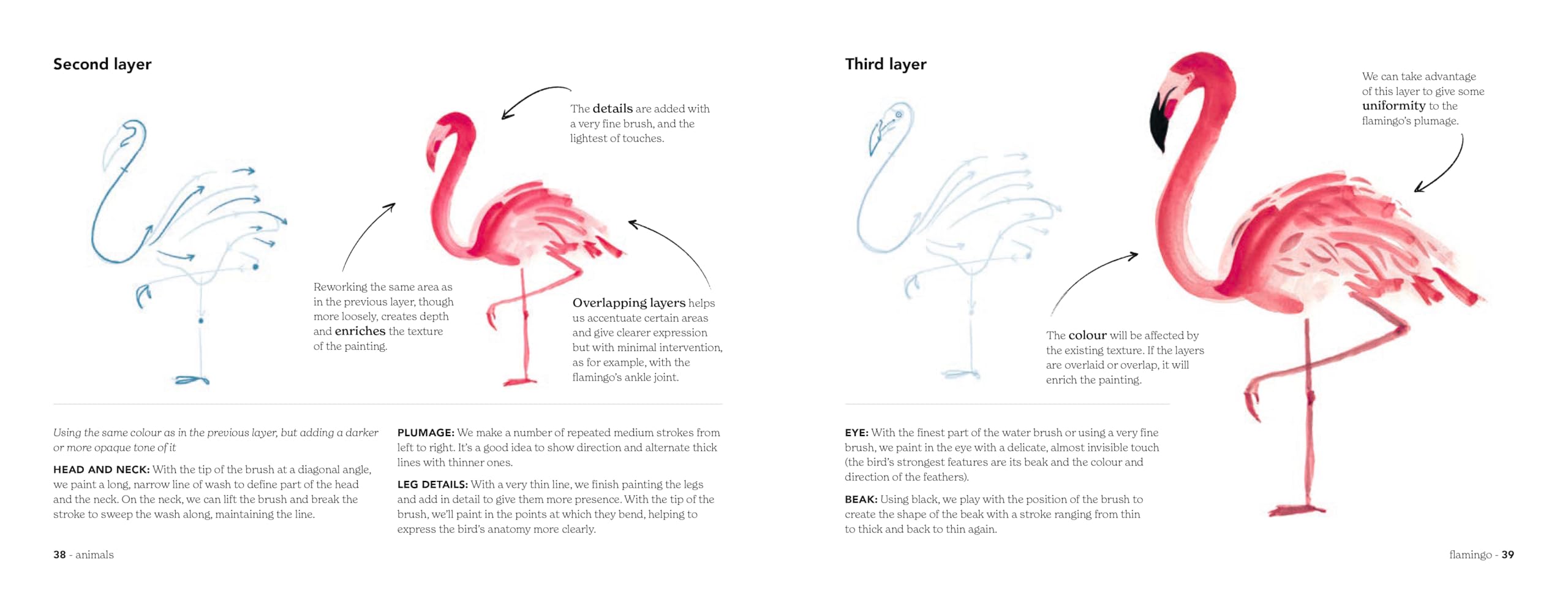 Animal Watercolour in 10 Minutes: An easy, new stroke-by-stroke technique