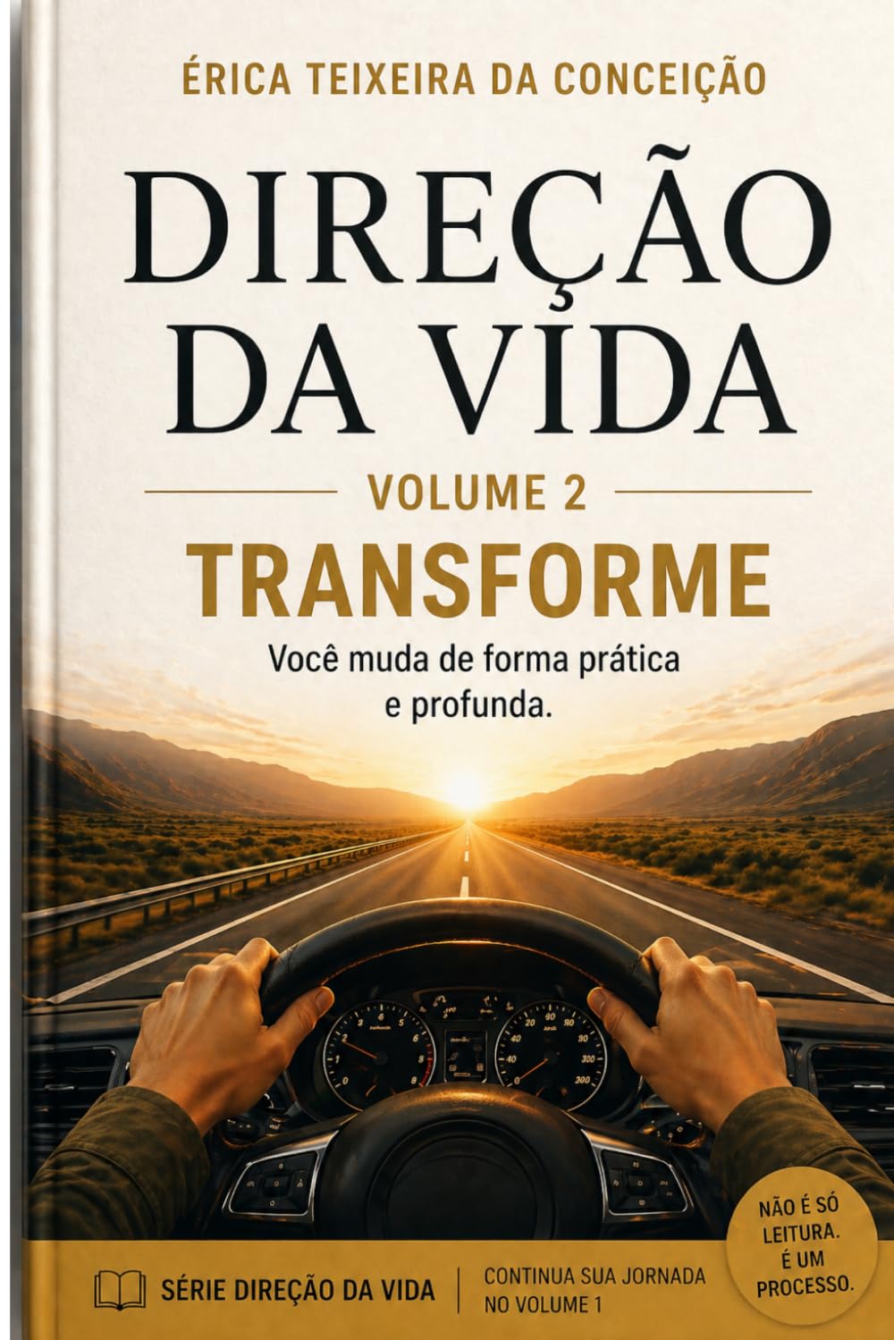 Direção da Vida: Com histórias e exemplos reais para você organizar sua mente e assumir a direção da sua vida