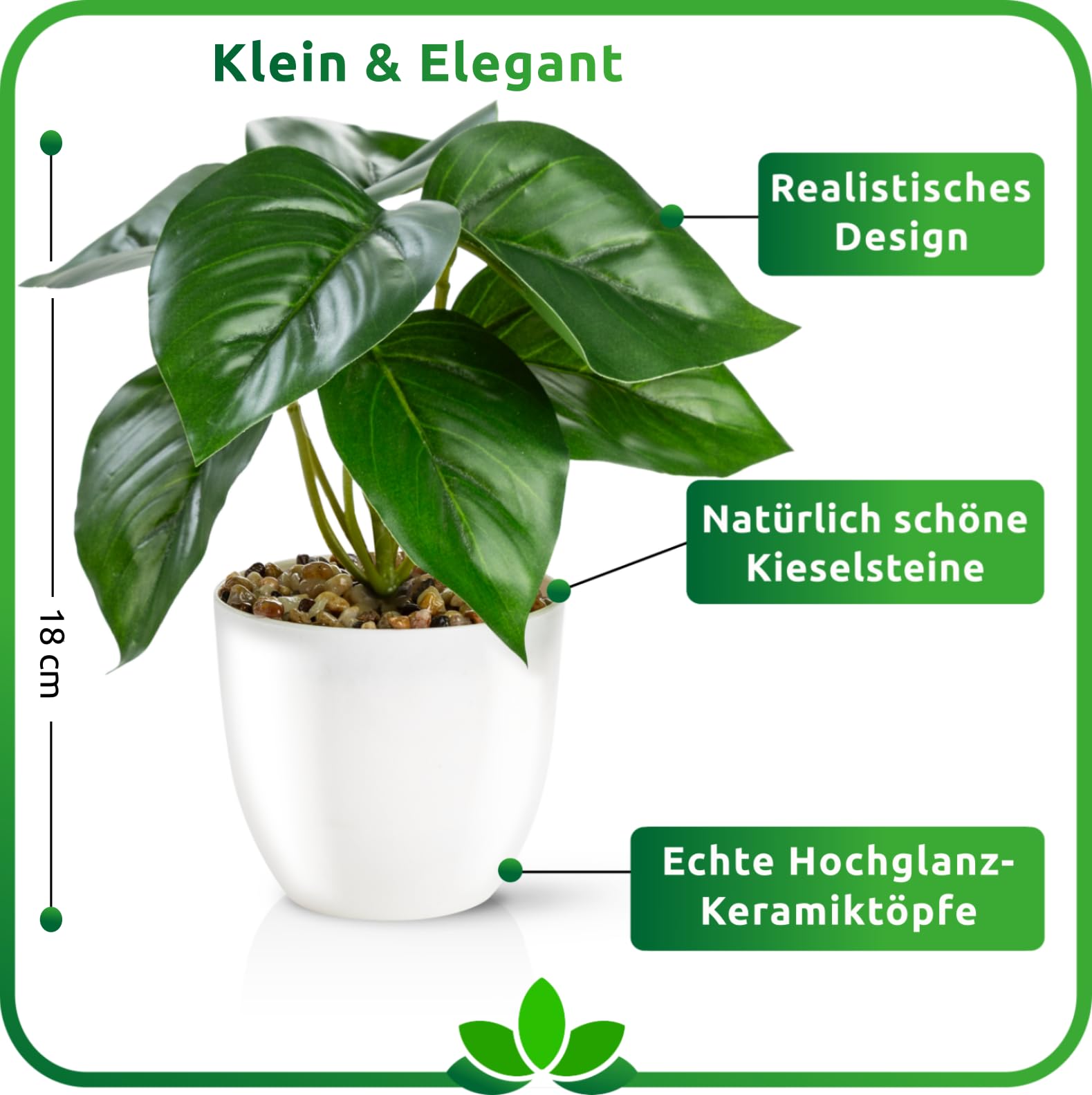 PASCH® 3-delige set kunstplanten in witte keramische wandvazen | Kleine kunsthangplant (15 cm) incl. spijkers om op te hangen | Wandvaas met kunstmatige vetplanten | kunstmatige hangplanten