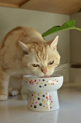 Miniatura 7 de Necoichi Cuenco elevado de agua para gatos, cuenco elevado de cerámica para gatos, evita la fatiga del cuello y los bigotes, apto para lavavajillas