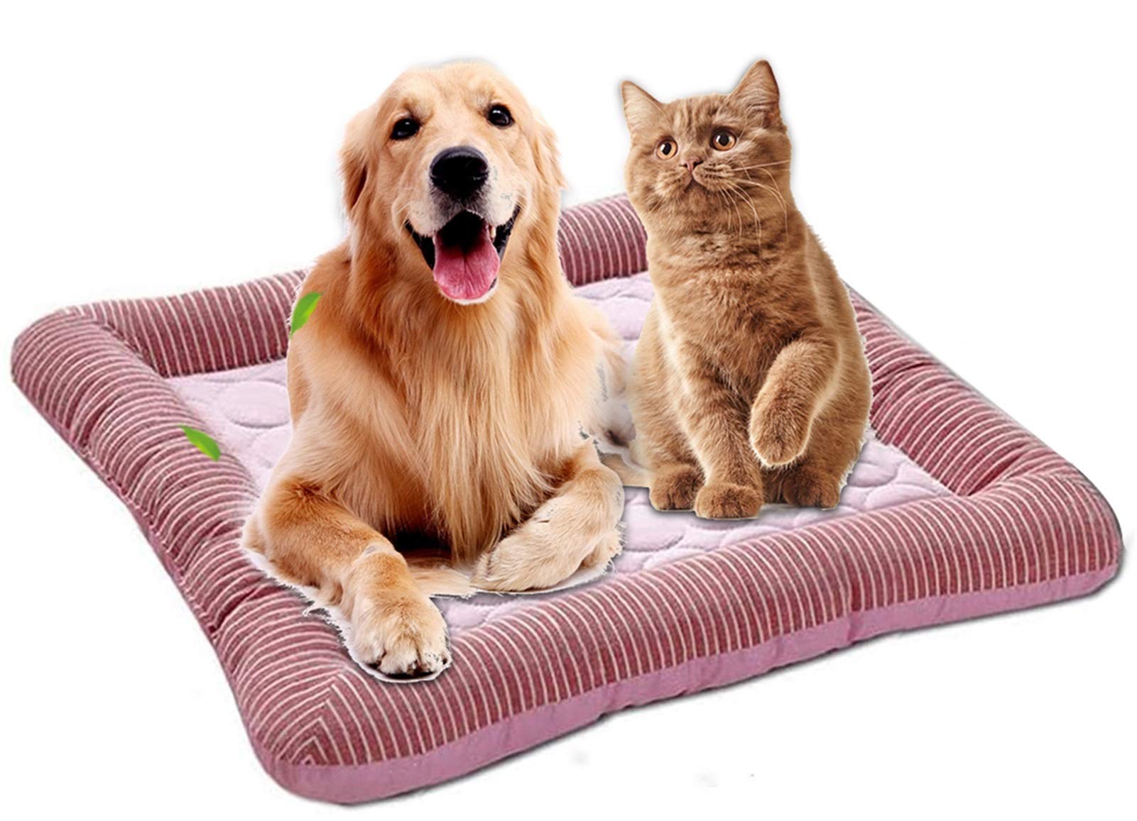 Kühlmatte Für Haustiere | EIS Pad Für Hunde & Katzen | Waschbar | Verschiedene Größen