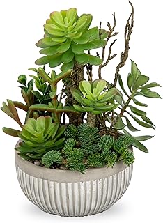 Oairse Succulent Artificial Plants in Pot Artificial Plants Small Like Real Artificial Succulents Artificial Plants Small Decoration for Living Room Bedroom Bathroom Decorative Plants