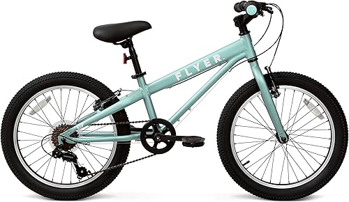 Miniatura 7 de Flyer - Bicicleta para niños de 20 pulgadas, bicicleta para niños y niños, ruedas de 20 pulgadas, niños y niñas de 6 a 8 años, múltiples opciones de