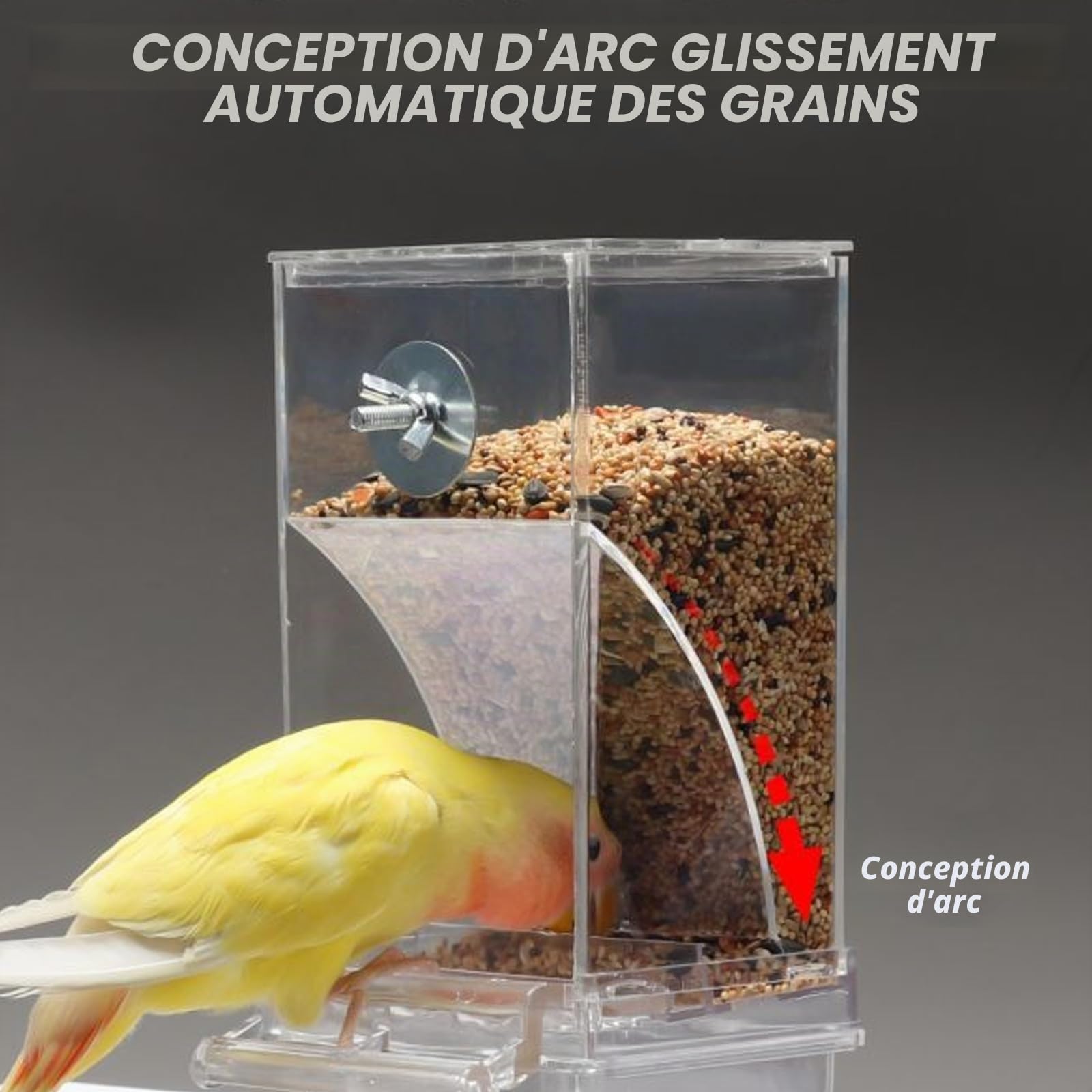 Distributeur automatique de nourriture pour oiseaux et distributeur d'eau : distributeur de nourriture transparent à suspendre pour oiseaux et distributeur d'eau pour perruches, calopsittes, canaris