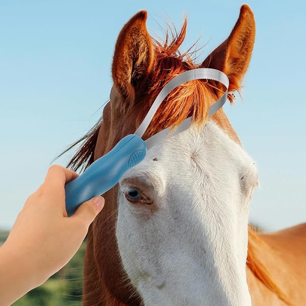 ステンレス製馬用ブラシ 鋸歯状スクレーパー 馬毛除去用グルーミングツール 馬の手入れと牛の掃除に適した厩舎用品 - 3