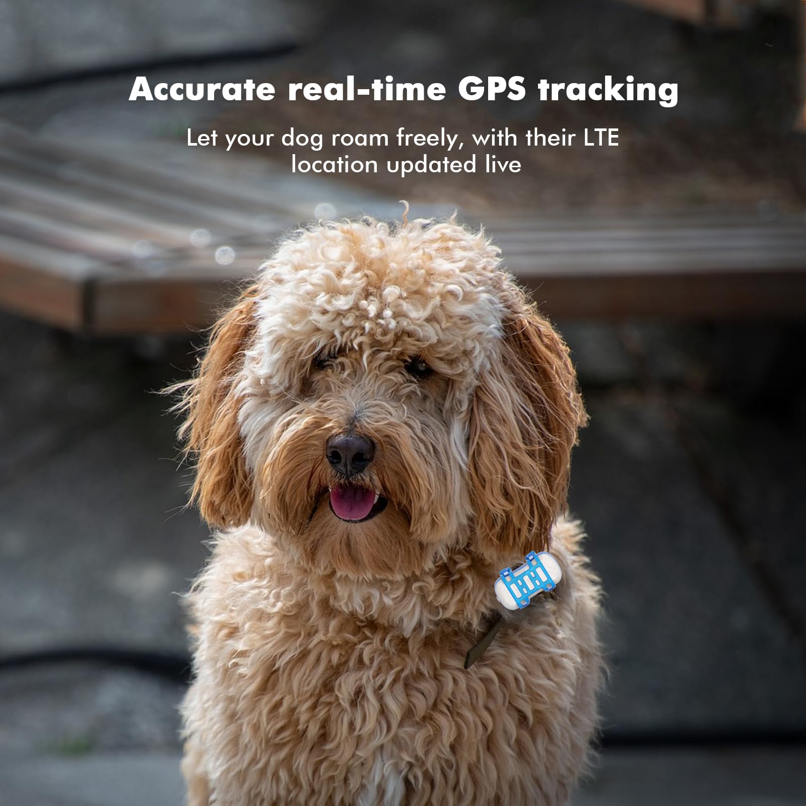 Pet GPS Tracker, Intelligent Dog Tracker, Dog Collar, Real Time Tracking and Unlimited Range, Cat Tracking, Adjustable Size