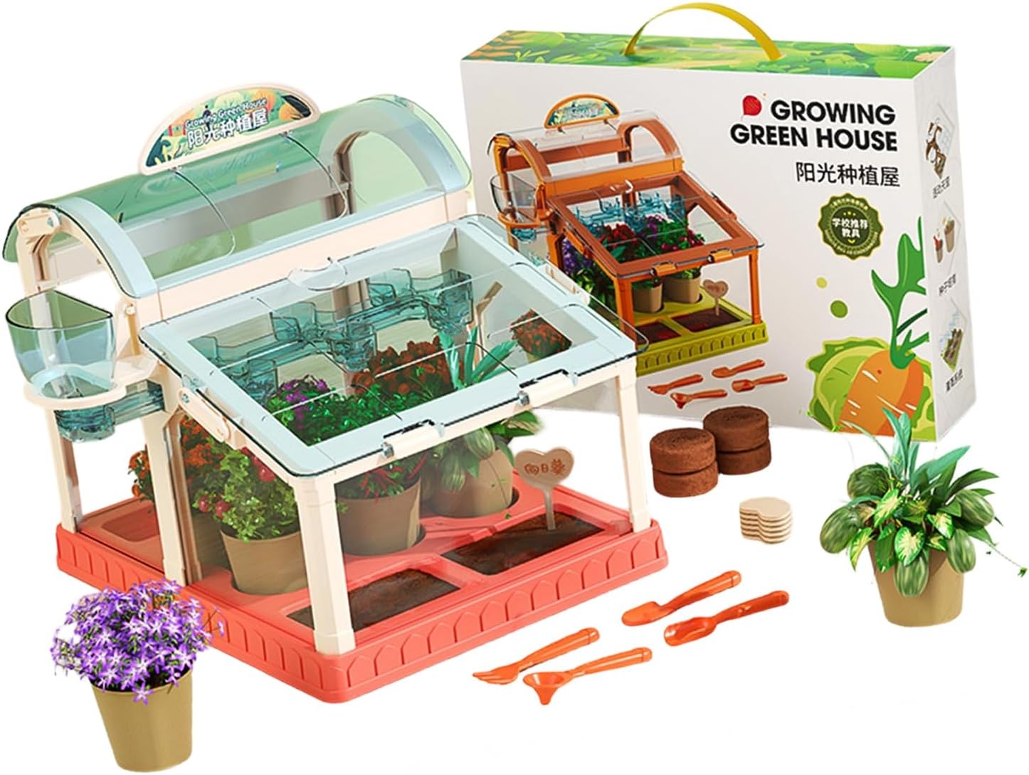 Acrylic Sunlight Greenhouse for Planting and Learning Featuring Strong Construction and Easy Setup Family Activity Set